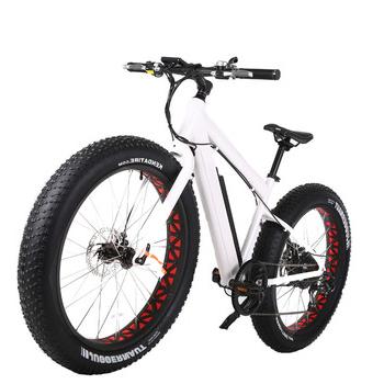 China Aluminum alloy 26 inch snow beach electric fat tire folding electric bike with Bafang rear motor ebike 48v 750w for sale