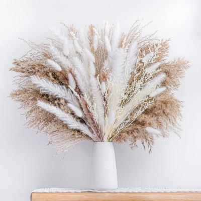 China 86PCS Natural Dry Pampas Grass Bouquet Boho Home Decor Bouquet Dry Bunch For Wedding Flower Arrangements Home Decorations for sale