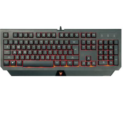 China High Sensitivity SATE RGB Stored Keyboard USB Wired Backlight PC Keyboard AK-839 for sale