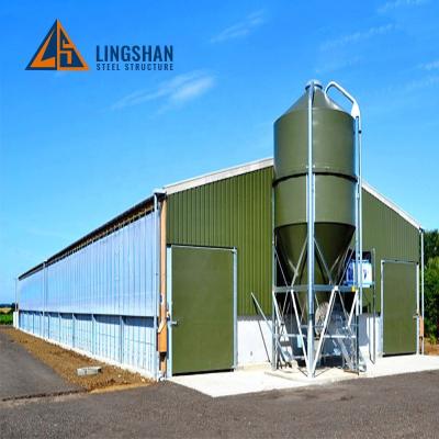 China Steel Structural Fast Build Commercial Manufacture Chicken Laid Steel Structure Broilers Poultry Farm Housing Construction for sale