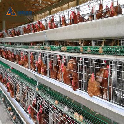 China Modern Cheap Structural Steel Chicken Building Plans Chicken Broiler Poultry Farm for sale