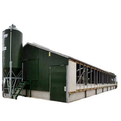 China Tall Farm For Cattle Ranching Steel Structure Cattle Shed Prefab Steel Structure Cow Shed for sale