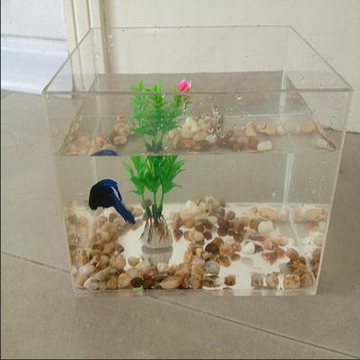 China 2015 New Product Viable Fish Tanks , Clear Acrylic Acrylic Fish Tank for sale