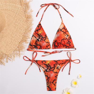 China Breathable Snakeskin Beach Wear Cut 2 Piece Triangle Swimsuit Swimwear Bikini 2021 for sale