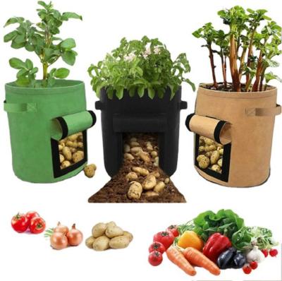 China Factory Wholesale Breathable Nonwoven Fabric Nonwoven Pots Grow Bag Ventilation Fabric Pots Vegetable Grow Bag With Handle for sale