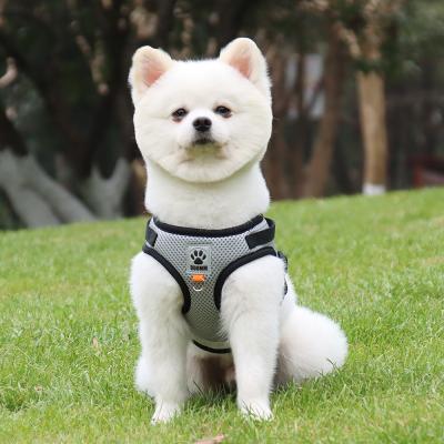 China Quick Release Dog Harness and Leash Pet Leash and Harness Set for sale