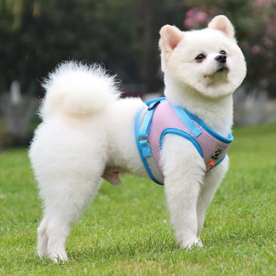 China Quick Release Dog Collar and Leash Harness Set for sale