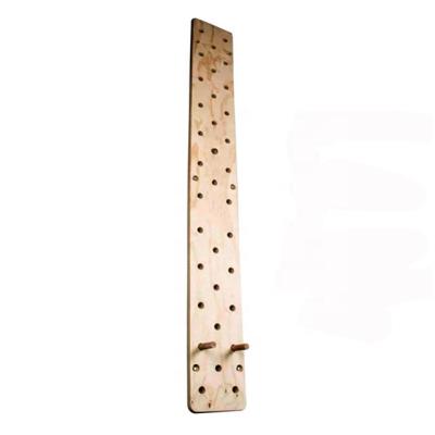 China Commercial Use PARAGON FITNESS Gym Fitness Training Solid Wood Climbing Peg Board for sale