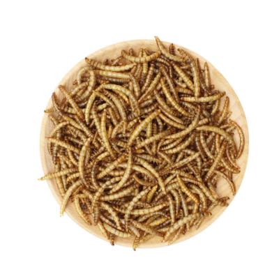 China High qualityTurtle Livestock Food Dried Mealworm Shrimp Fish Mix Food For Aquatic Turtle for sale