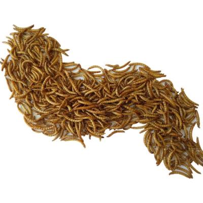 China Livestock Goldfish Meal Worm Koi King Betta Ornamental Fish Brine Shrimp Egg Worm Dried Fish Food for sale