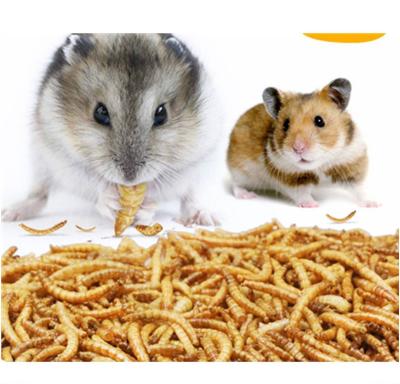 China Livestock Feed Dried Mealworm Pet Food /Fish Feed / Bird Feed for sale