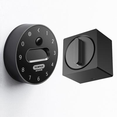 China Home Electronic Electric Smart Handle Pocket Strap China Hotel Apartment Digital Door Locks Pant Face Recognition Electric Online Lock for sale