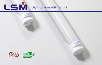 China 1750 - 1850lm SAA enumeró el tubo 50Hz AC100 de 18W T8 LED - 240V en venta