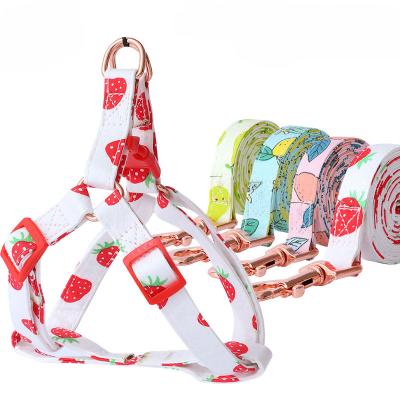 China New Personalized Colorful Fruit Printed No Pull Neoprene Dog Harness And Leash Set Soft Breathable Adjustable Small Cat Pet Leash Collar for sale