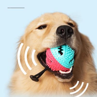 China Viable Pet Toys Sounding Small Food Flowing Chewing Dog Toothbrush Toy Balls for sale