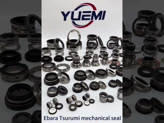 Ebara Tsurumi mechanical seal