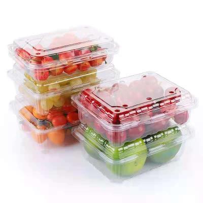 China Recyclable Large Disposable Bento Recyclable Embossing Plastic Fruit Packing Boxes for sale