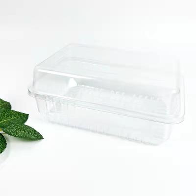 China Recyclable Packaging Material Custom Size Accepted Disposable Plastic Food Packaging Box for sale