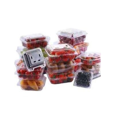 China Recyclable Square PET Cupcakes Packaging Plastic Disposable Sandwich Food Packaging Box for sale