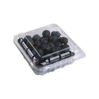 China Food Grade Disposable Blueberry PE Packaging Supplies For Fruit Packing Box for sale