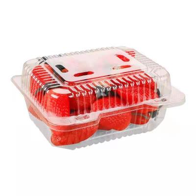 China Disposable Rectangular Disposable Strawberry Packaging Box Fruit Fresh-keeping Clear Plastic Box for sale