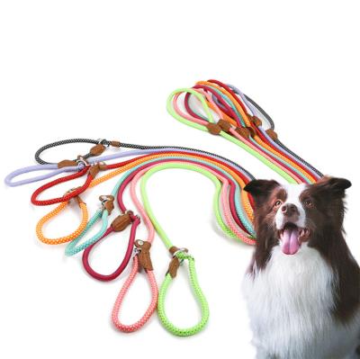 China Hot-Wholesale Multi Colors Viable Sizes Adjustable Durable Nylon PU Dog Lead Collar And Leash Set for sale