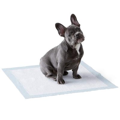 China Dog Urine Pad Viable Leakage Make 5 Layer Pad With Heavy Duty Quick Dry Surface Used For Toilet Forming Disposable Puppy Mat for sale