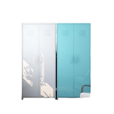 China Good Apperance New Design Style Modern Two Door Wardrobe for sale