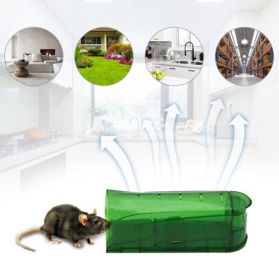 China Viable Hot Selling Smart Humane Mouse Trap No Kill Mouse Trap Hook And Release for sale