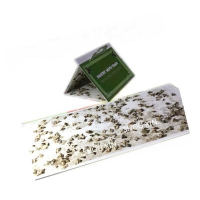 China Clothing Moth Glue Trap Viable Galley Moth Traps Moth Control Glue Trap With Pheromone for sale