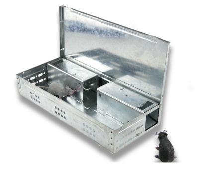 China Hook Rat Trap Design Multi Viable Rodent Control For Mouse Box Mouse Catcher SX-5017 for sale