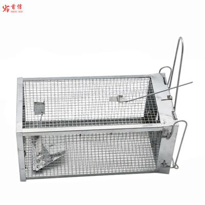 China Low Price Viable Galvanized Humane Rat Mouse Cage for sale