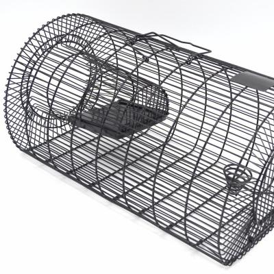 China Viable Live Trap Pest Control Rat Mouse Cage for sale