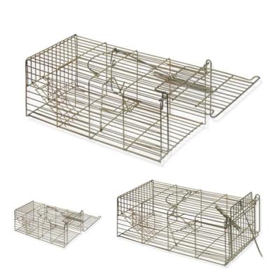 China Metal Wire Mesh Viable Humane Live Multi Rat Mice Rat Animal Trap Cage for sale