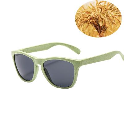 China Fashion Sunglasses 2019 New Model Eco Friendly Wheat Promotional Biodegradable Sunglasses for sale