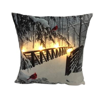 China With LED Light Bedroom Fabric Home Decor Plush Filler Pillows for sale