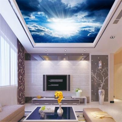 China Artistic Ceilings Modern Decorative Stretch 3d Ceiling Wall Panels for sale