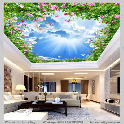 China Artistic geigi sistemi tavan pvc ceiling 5m ceiling pvc hot turkey for sale