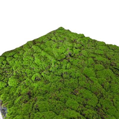 China Co-friendly Simulation Moss Turf Simulation Scene Window Decoration Artificial Moss Cotton Preserved Moss Plant Wall Pearl Green Plastic for sale