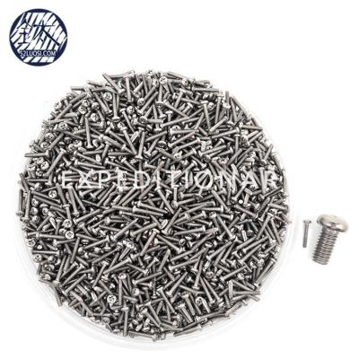 China M1.6 Pure Titanium Pan Gr 2 Cross Recessed Pan Head Small Titanium Screws for sale