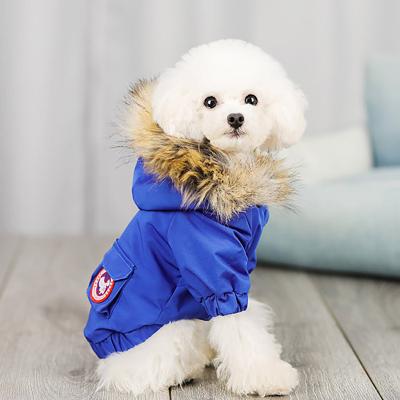 China Sustainable Dog Clothes Waterproof Winter Warm Coat Hooded Down Jacket For Small Medium Dogs Schnauzer Pet Puppy Clothing for sale