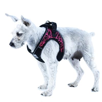 China Padded Adjustable Chest Strap Cat Collar Vest Soft Breathable Pet Puppies Thoughtful Dog Harness for Small Medium Dogs for sale