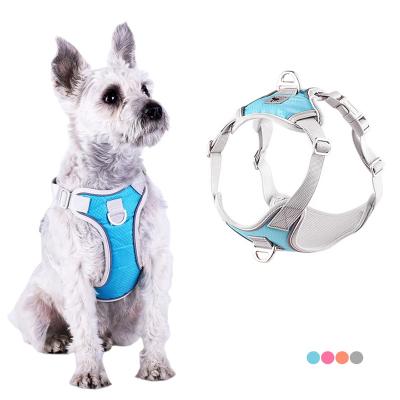 China Outdoor Protective Padded Chest Harness Dog Training Chest Strap Adjustable Vest Waist Belt for Small Medium Dogs for sale