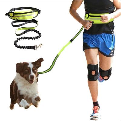 China Thoughtful Hands Free Dog Leash With Waist Bag Belt Running Dog Leash Set Collar Harness Elastic Nylon Pet Accessories for sale