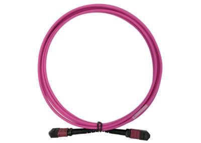 China tipo magenta B USCONEC de la base de 3M OM4 24 del cordón de remiendo del cable de fribra óptica de 100G 24 MTP MPO en venta