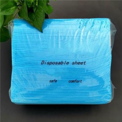 China Wholesale Cheap Anti-Static Customized Outdoor Camping Disposable Sheet High Quality Wear Resistant Waterproof Strong Pink Blue for sale