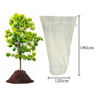 China 200x240cm 80Gsm Cold Weather Blanket Waterproof Nonwoven Warm Protection For Plants Against Frost Plant Protector Blanket Plant Cover for sale