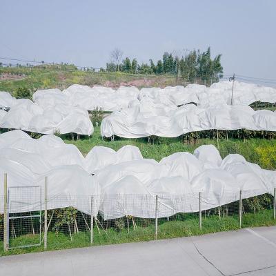 China Plant Cover Plant Cover Protection Plant Frost Winter Cloth PP Nonwoven Fabric Polypropylene Non-Woven Waterproof Anti-Woven Cover for Plant Cover for sale