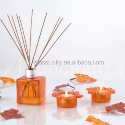 China Popular Clear 100ml 150ml Essential Oil Reed Diffuser Glass Bottles Wholesale for sale