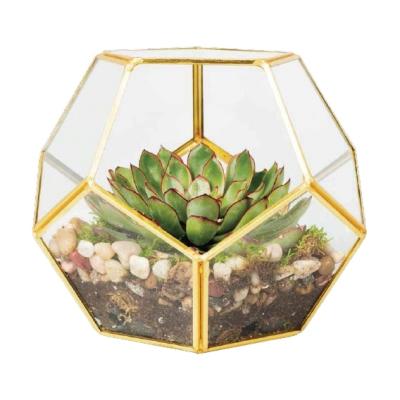 China Traditional Wholesale Irregular Glass Gold Geometric Mini Greenhouse For Plant Tabletop Succulent Planter for sale